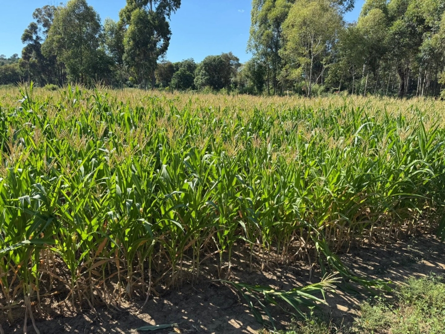 Commercial Property for Sale in Swartruggens North West